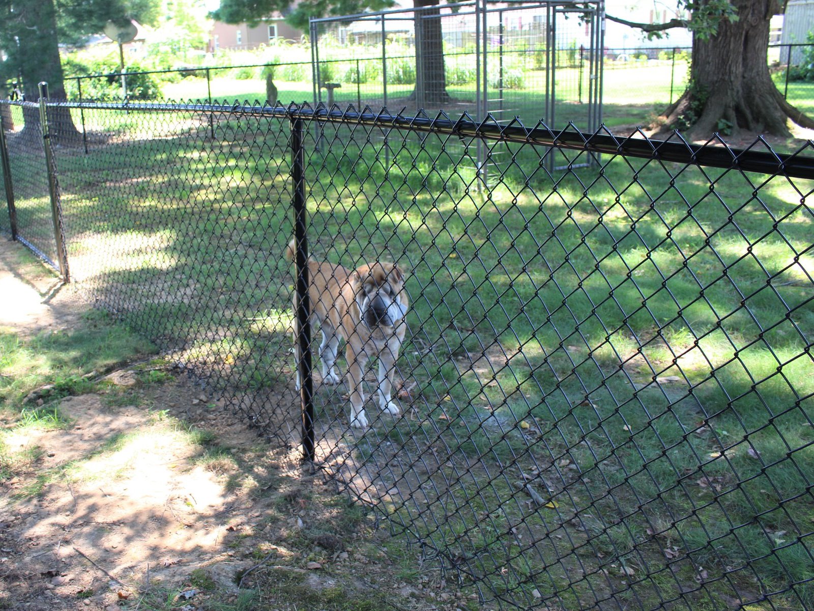 chain link fence Illinois